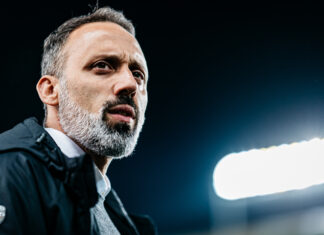 Q&A: Pellegrino Matarazzo/ VfB Stuttgart
