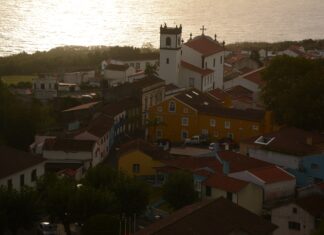 A Golden Championship… The Azores 2020 Trail Run is a wrap.