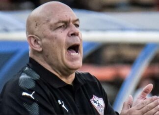 Troubled Schalke turn to Chistian Gross as manager