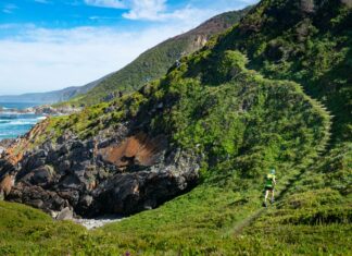 The ‘Matty Fish’ to swim again at the Otter African Trail Run