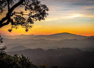 World trail and mountain runners gather in Thailand this weekend