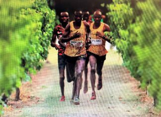South African athletes impress at World Cross Country Championships while east Africans reign supreme
