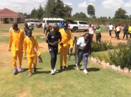 Eliud Kipchoge champions refugee athletes chasing glory in youth Olympics Legendary Kenyan marathoner Eliud Kipchoge (in black) takes a walk with refuge athletes in Kaptagat, Kenya. Photo: Courtesy